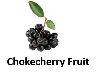 Chokecherry Fruit