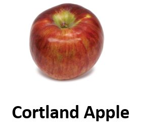 Cortland Apple