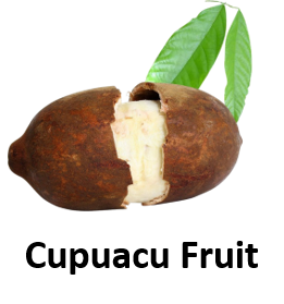 Cupuacu Fruit