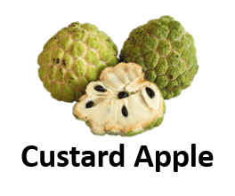 Custard Apple