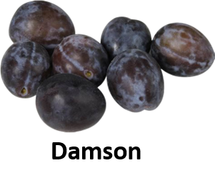 Damson