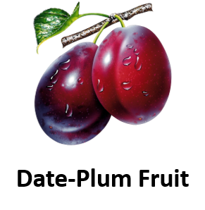 Date Plum Fruit