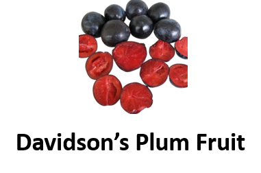 Davidsons Plum Fruit