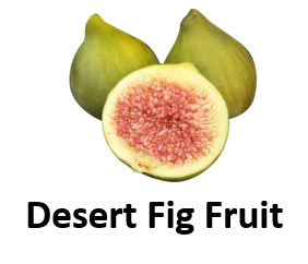 Desert Fig Fruit