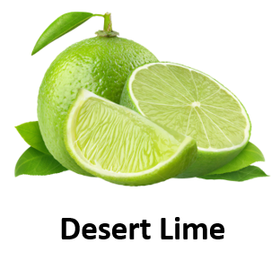 Desert Lime