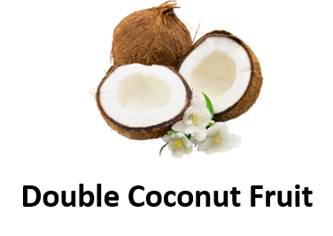 Double Coconut Fruit