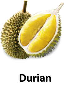 Durian