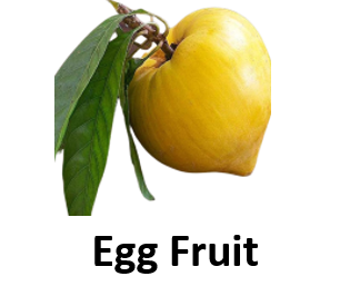 Egg Fruit