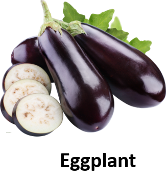 Eggplant