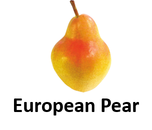 European Pear