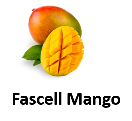 Fascell Mango