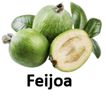 Feijoa