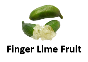 Finger Lime Fruit