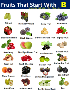 80+ Fruits Starting With B (Properties And Pictures) - Vocabulary Point