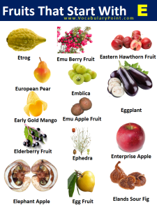 Fruits Starting with E (Properties and Pictures) - Vocabulary Point