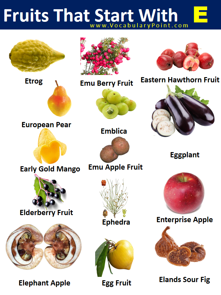 Fruits That Start With E with pictures