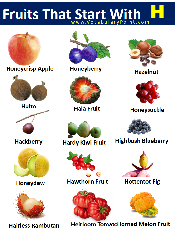 Fruits That Start With H with pictures