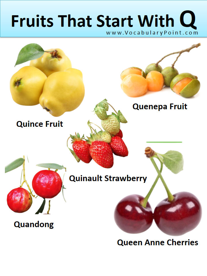 Fruits That Start With Q with pictures