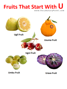 Fruits Starting with U (Properties and Pictures) - Vocabulary Point