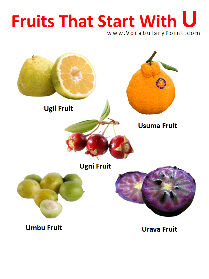 fruits-that-start-with-u-vocabulary-point