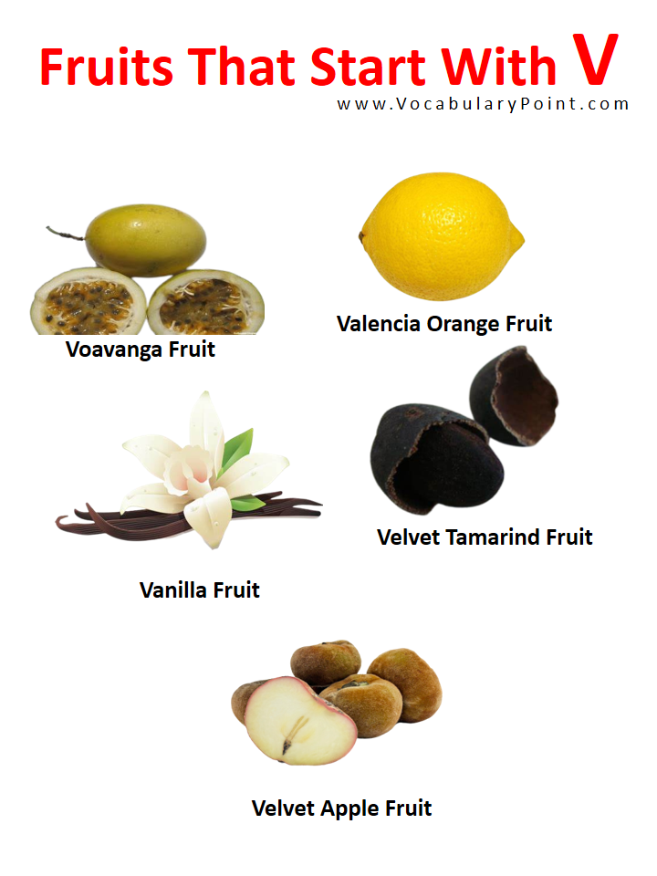 List Of Fruits That Start With V Mishry