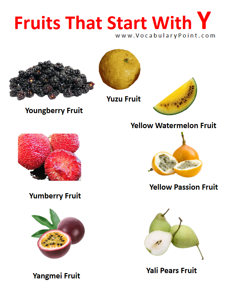 Fruits Starting with Y (Properties and Pictures) - Vocabulary Point