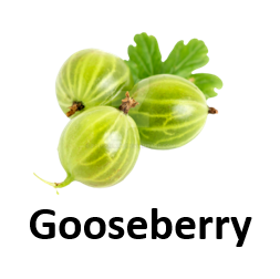 Gooseberry