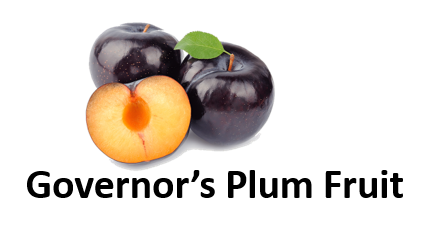 Governors Plum Fruit