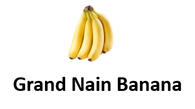 Grand Nain Banana