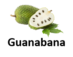 Guanabana