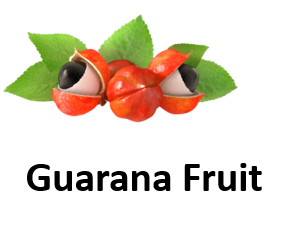 Guarana Fruit