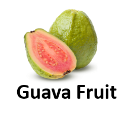 Guava Fruit