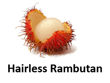 Hairless Rambutan