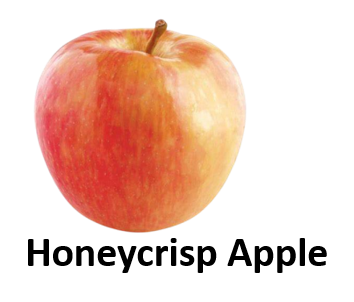 Honeycrisp Apple