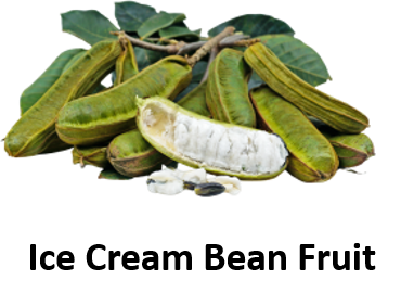 Ice Cream Bean Fruit