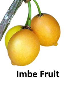 Fruits Starting with I (Properties and Pictures) - Vocabulary Point