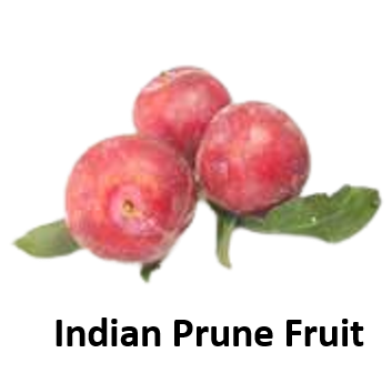 Indian Prune Fruit
