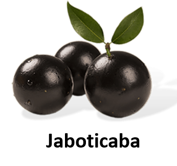 Jaboticaba