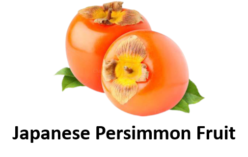 Japanese Persimmon Fruit