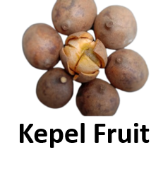 Kepel Fruit