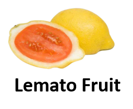 Lemato Fruit