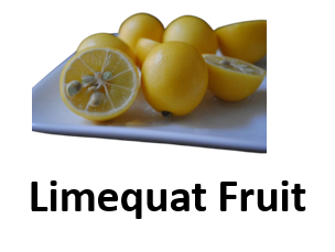 Limequat Fruit