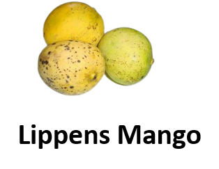 Lippens Mango