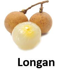 Longan