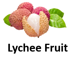 Lychee Fruit