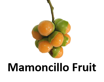 Mamoncillo Fruit