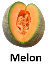 Melon