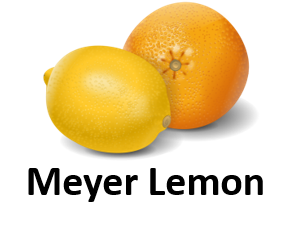 Meyer Lemon