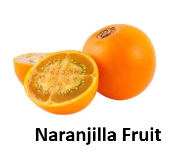 Naranjilla Fruit