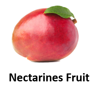 Nectarines Fruit